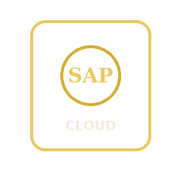 SAP Implementation Consultant